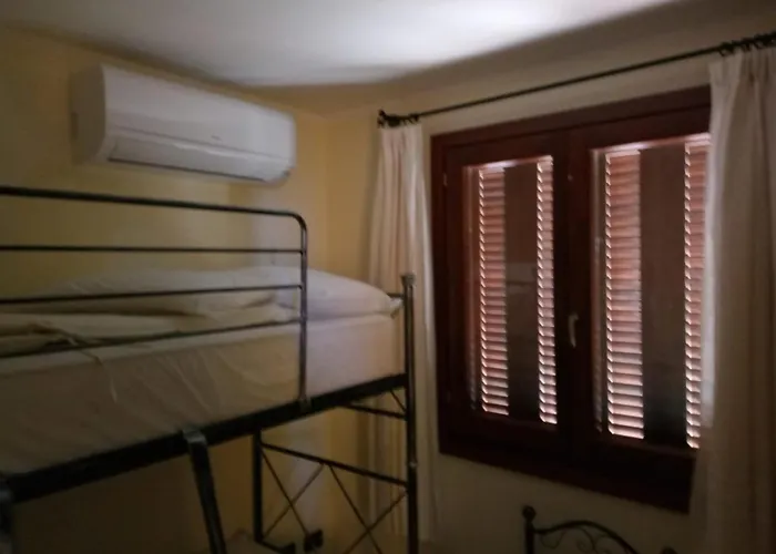 Fiordaliso Aurora Olbia