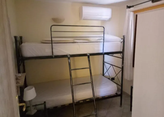 Fiordaliso Aurora Olbia